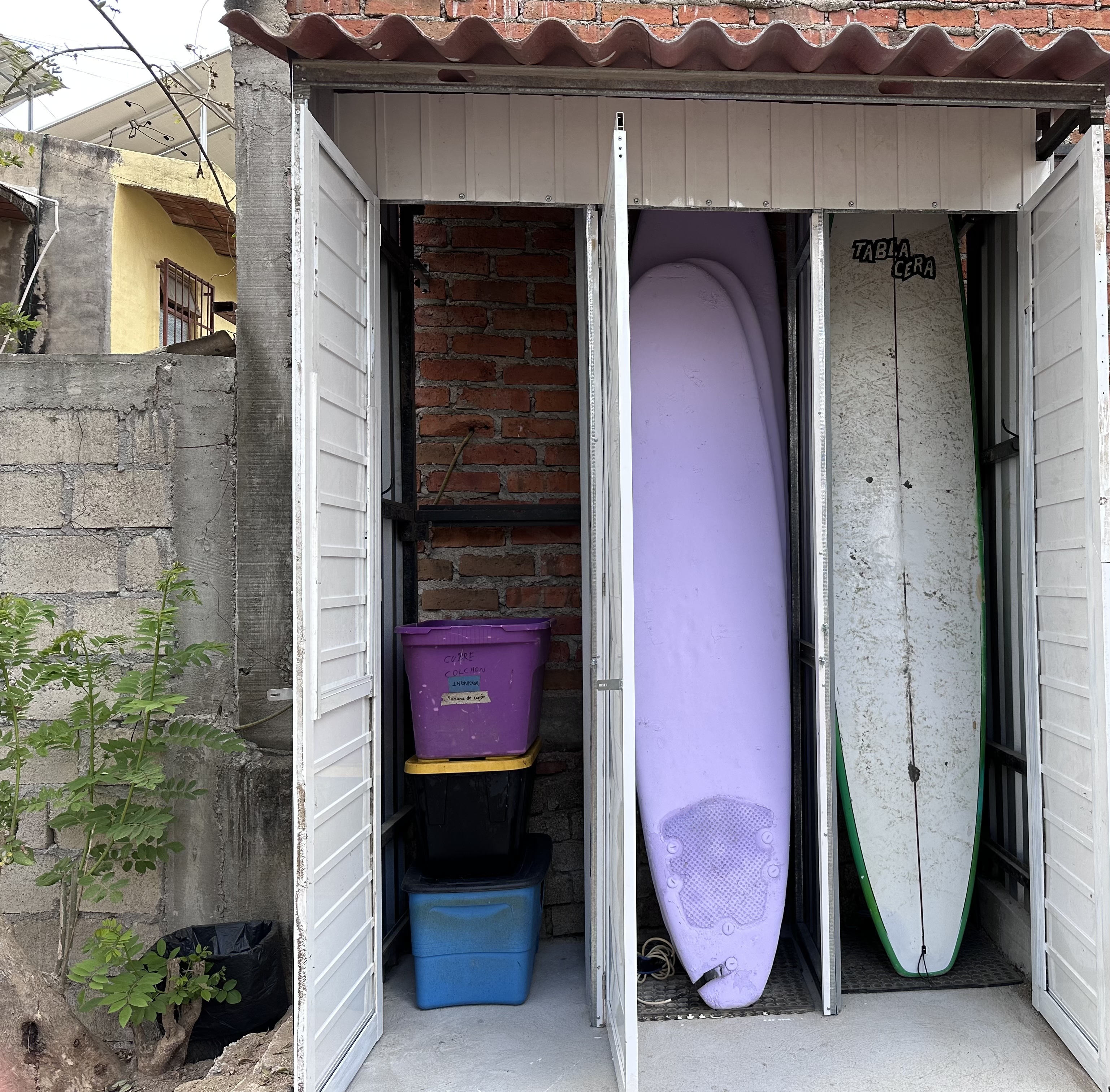 Surf Bodega